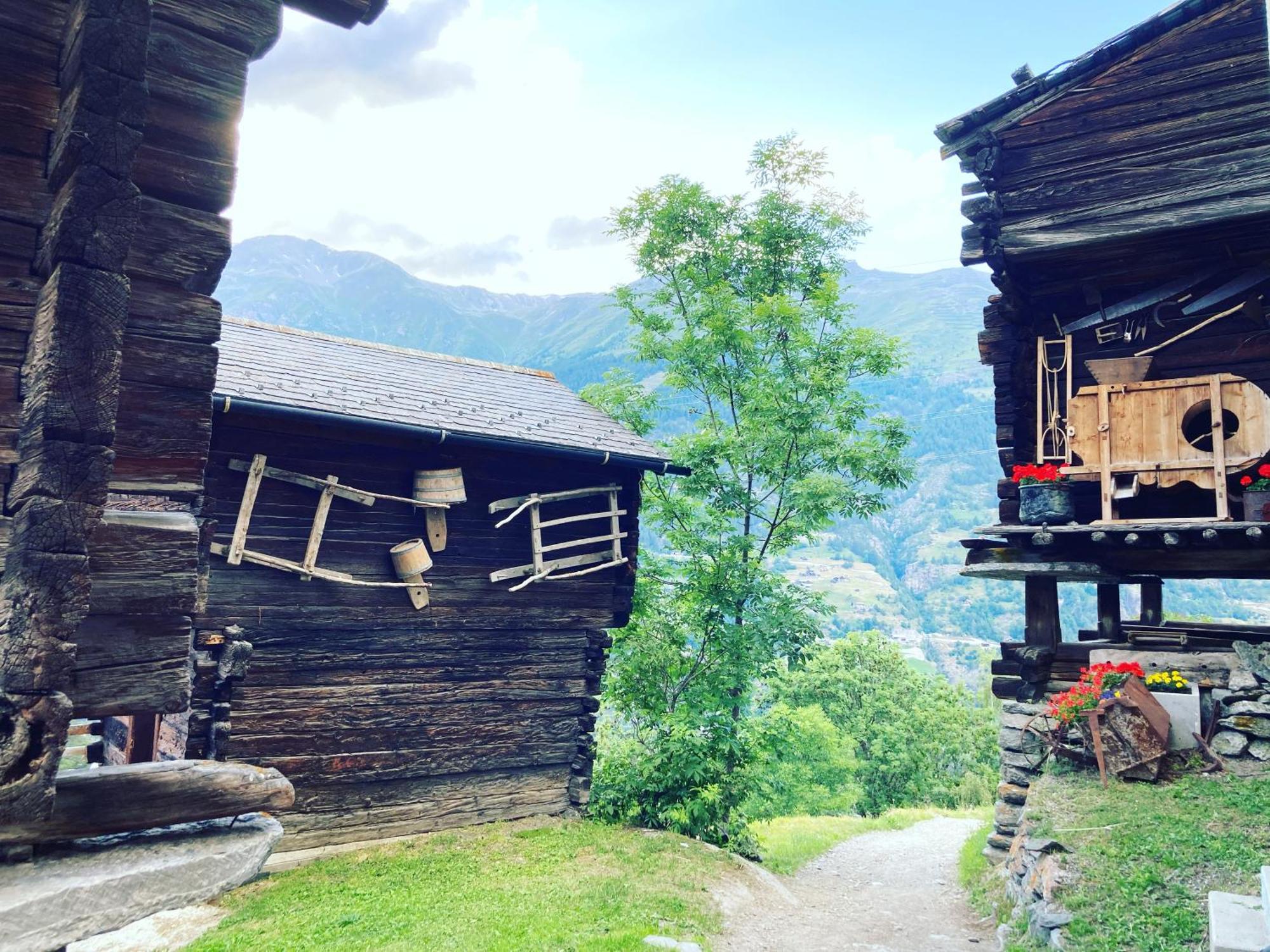 Bed and Breakfast Alte Bock 2.0 Грехен Екстер'єр фото